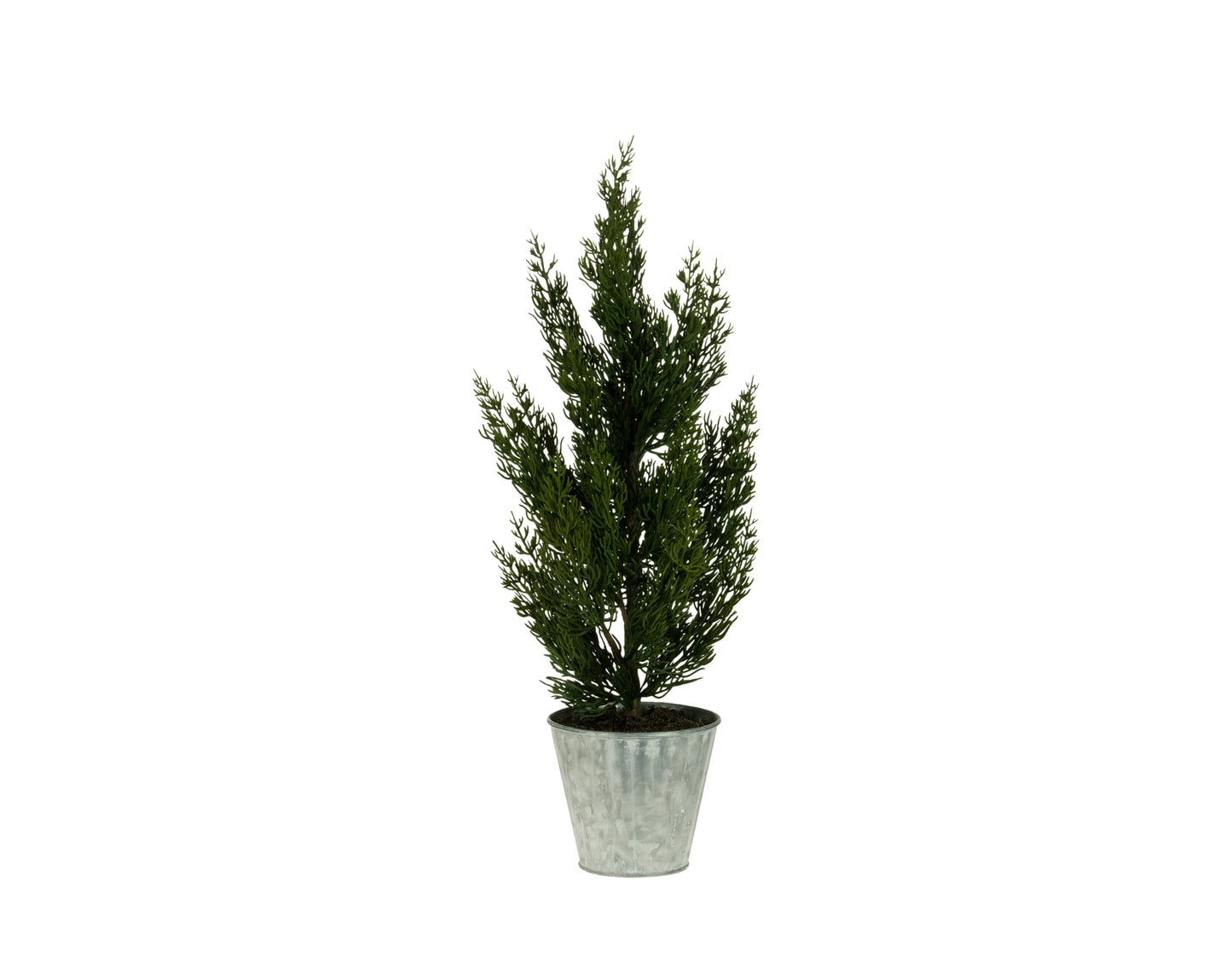 21" Spruce Tree in Metal Pot
