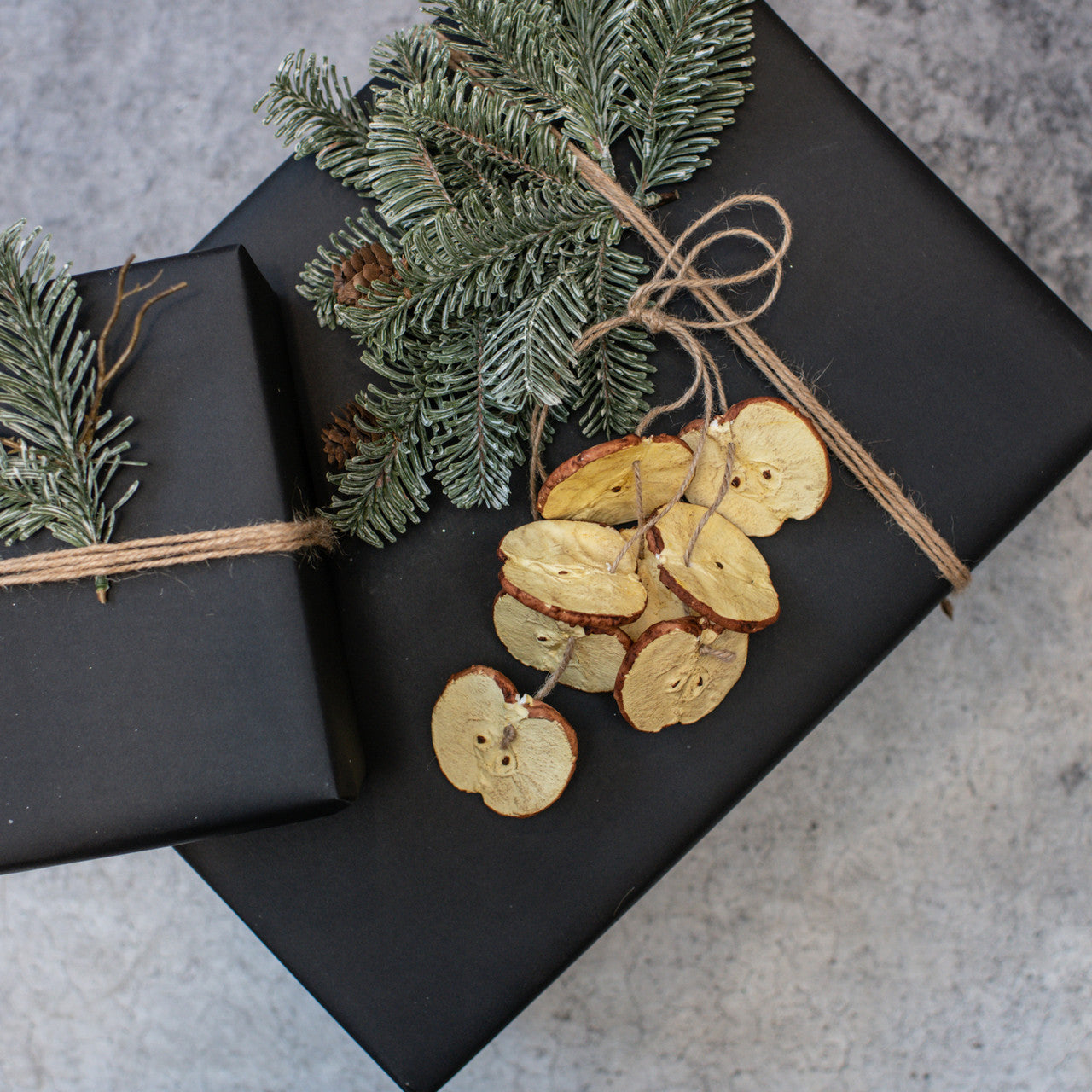 Apple Slice Hanging Ornament