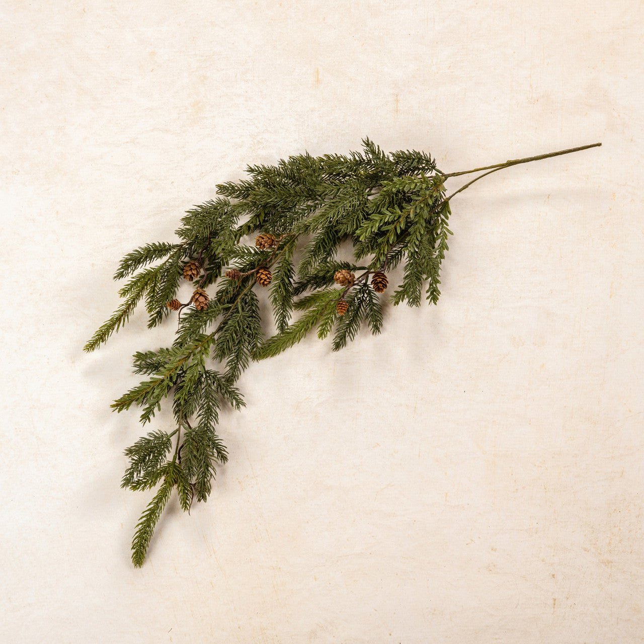 White Spruce & Tsuga Hemlock Hanging Vine