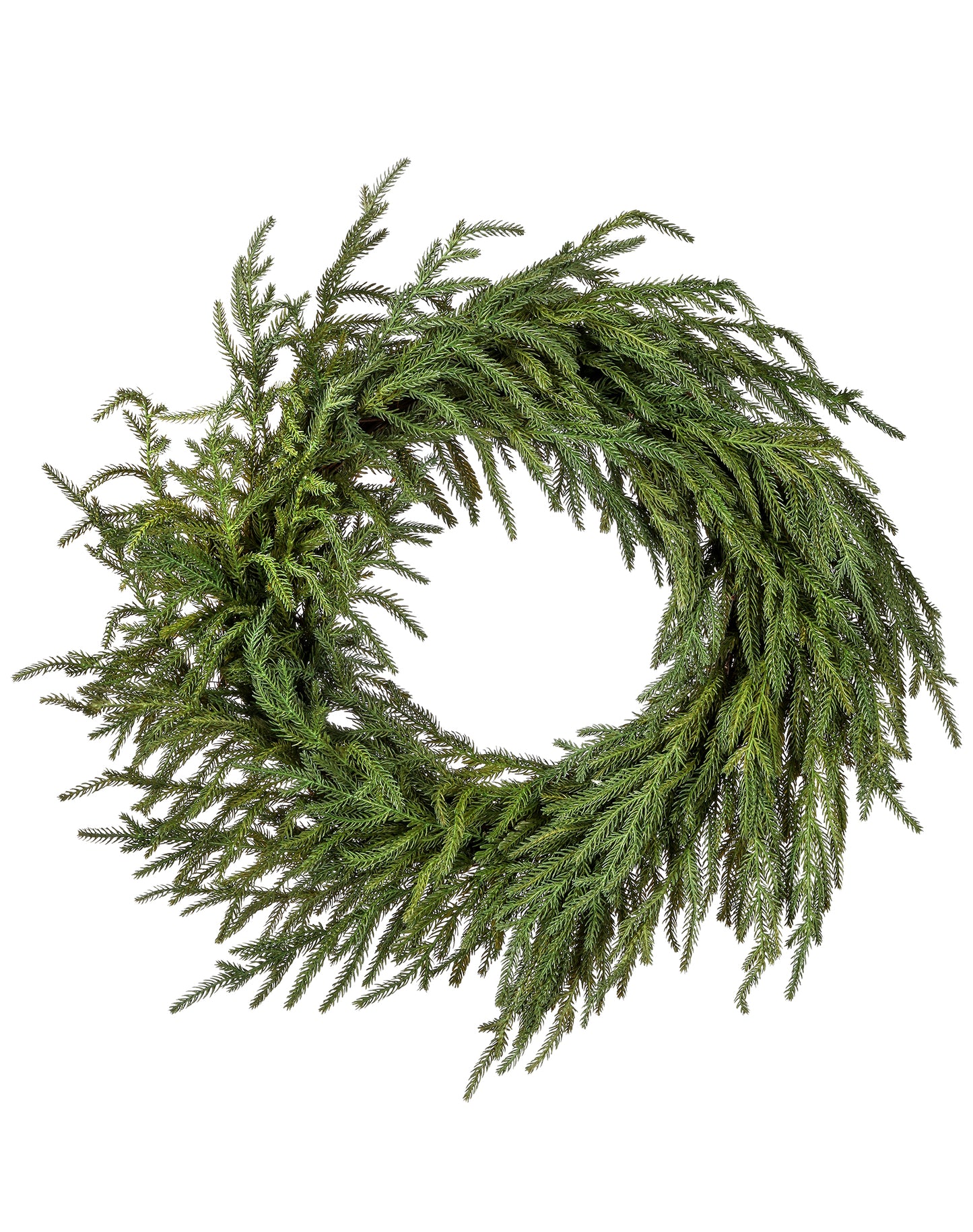 24" Real Touch Norfolk Pine Wreath