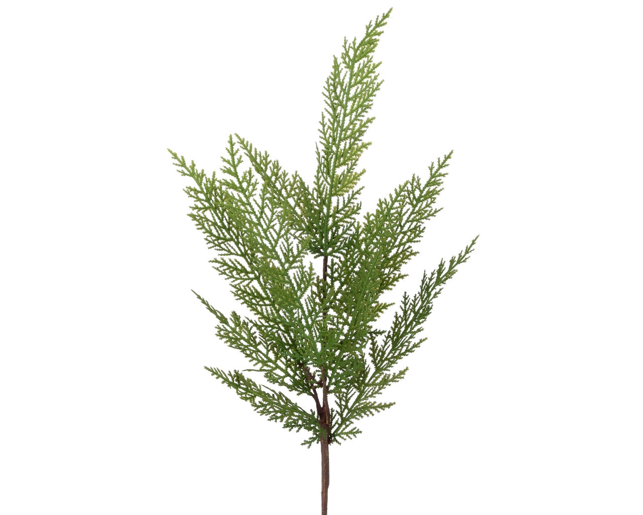 Real Touch Lebanon Cedar Spray 24"