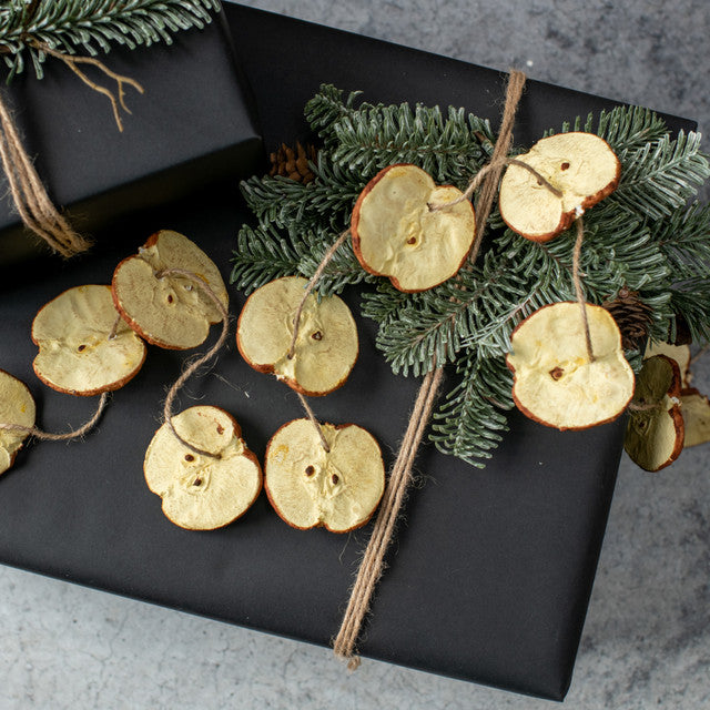 5' Apple Slice Garland