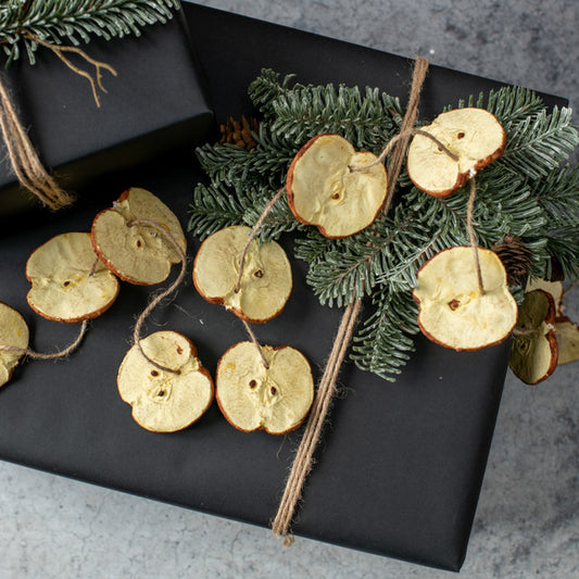 5' Apple Slice Garland