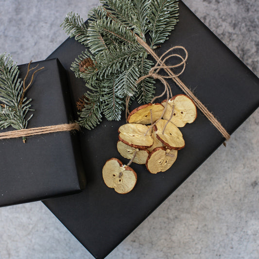 Apple Slice Hanging Ornament