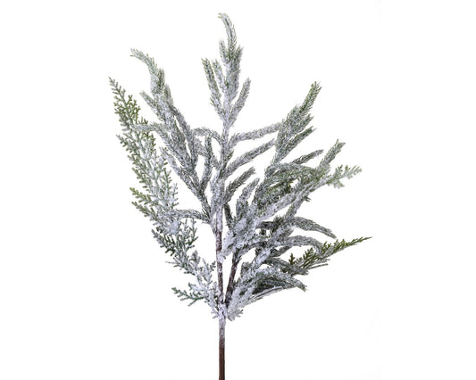 24" Flocked Real Touch Norfolk Pine Spray