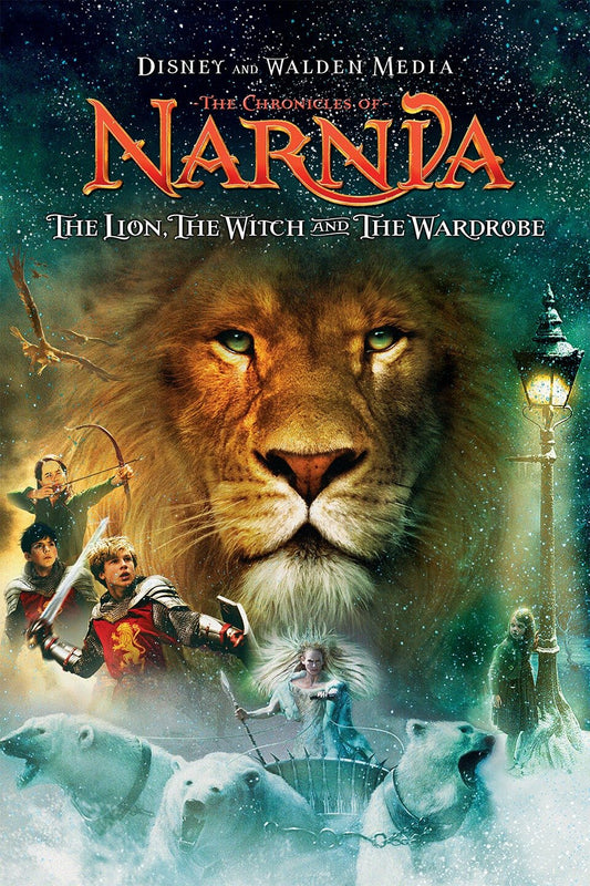 Chronicles Of Narnia: The Lion, The Witch & The Wardrobe (DVD) (2005)